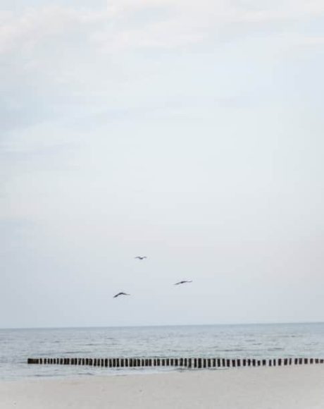 vertical-photo-2